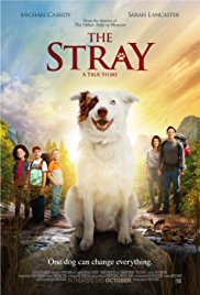 The Griya Movie Night - The Stray